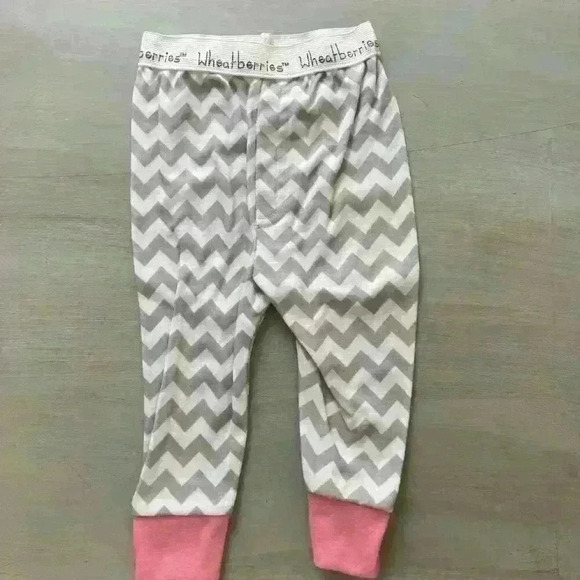 Baby Ganz Wheatberries Boutique Pajamas Set Two Piece Pajamas size 9-12 months - Picture 6 of 9